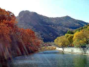 管家婆黑白马报图库，河北图书批发市场